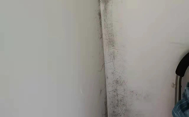 內(nèi)墻面滲水怎么處理最好?