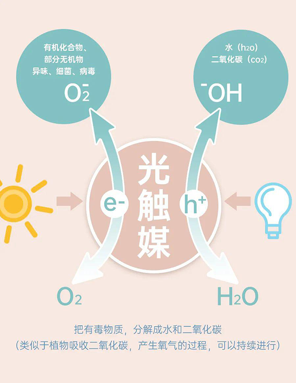 光觸媒.png
